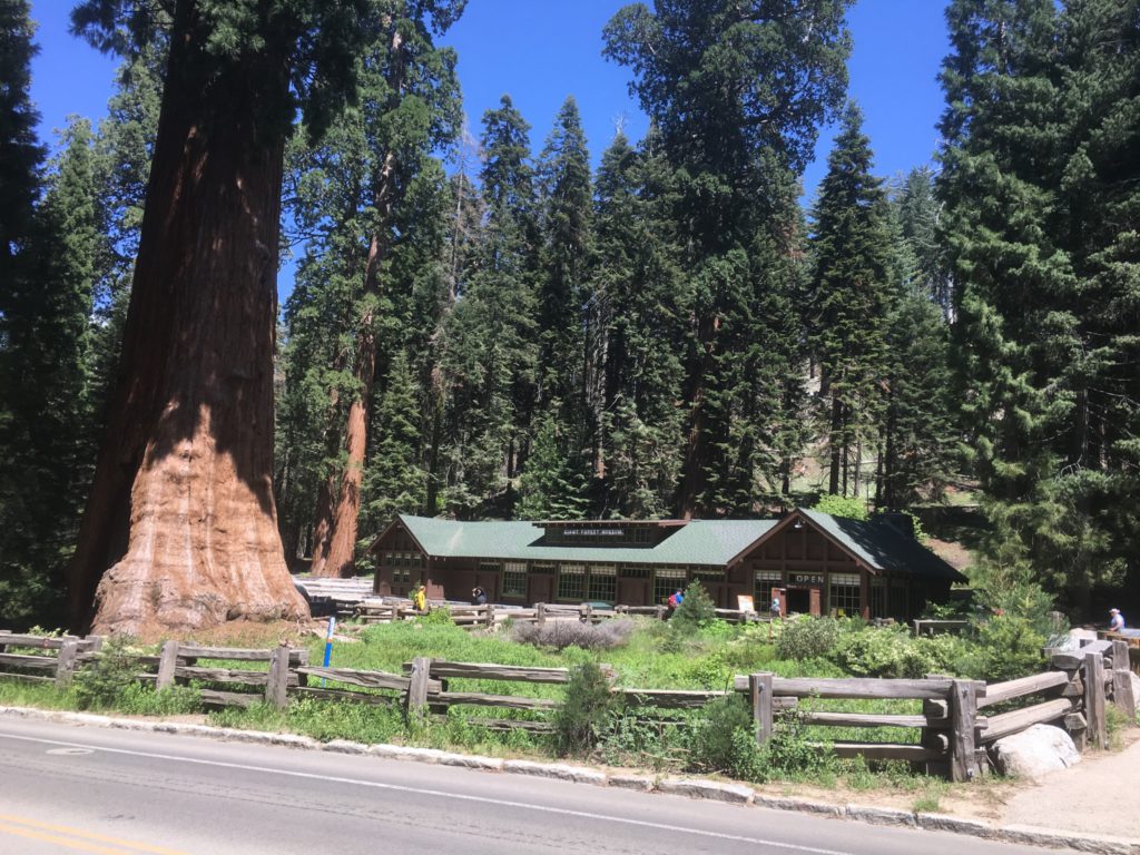 Sequoia National Park Visitor Center