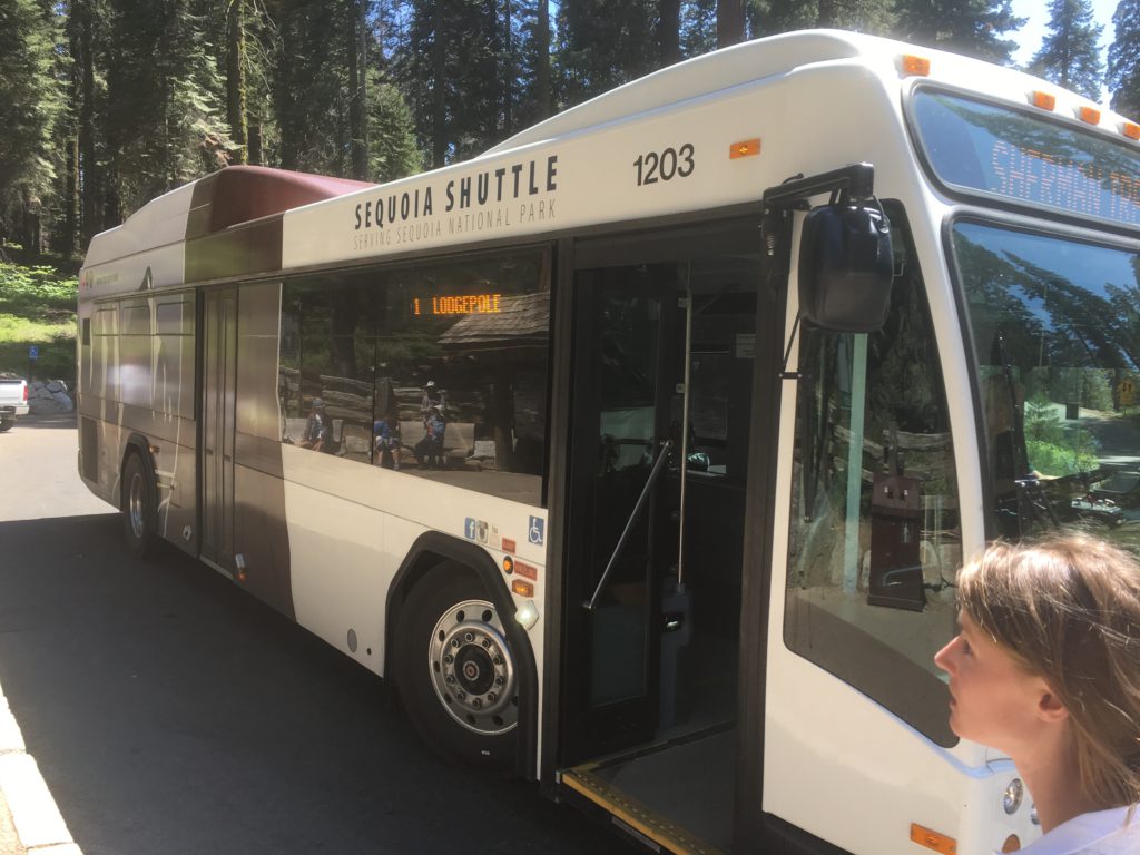 Shuttle Bus - Sequoia National Park