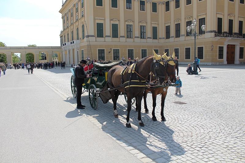 Pferdekutsche - Schloß Schönbrunn (Wien)
