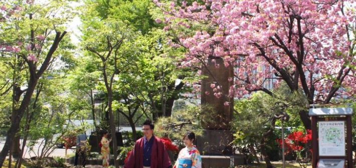 Tokio - Kirschblütenfest